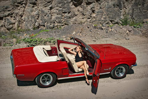 Fotoshooting mit Henry Hund 2