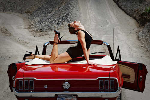 Fotoshooting mit Henry Hund 4