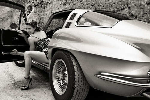 Fotoshooting mit Henry Hund 5