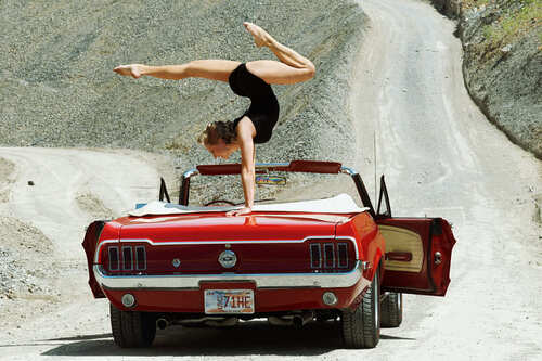 Fotoshooting mit Henry Hund 6